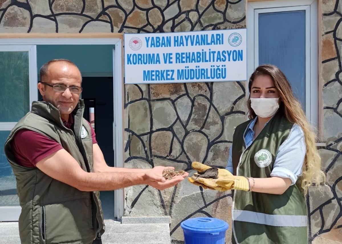 Yaralı kuşlar tedavi altına alındı