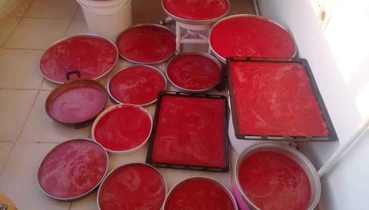 Kilis’te salça telaşı başladı G3