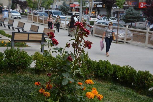 Hakkari halkı korona virüs denetimlerine uyuyor