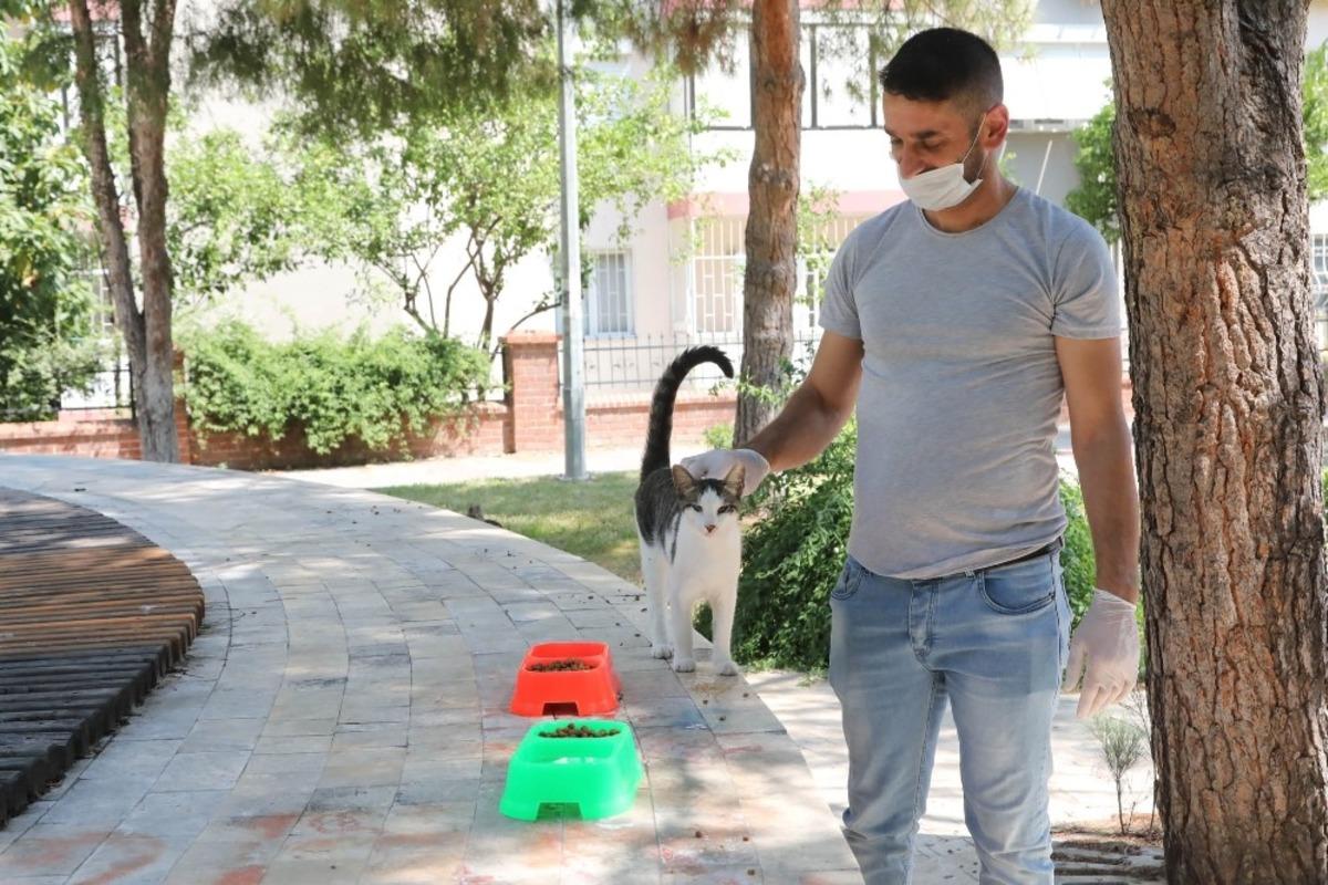 Sokak hayvanları i&ccedil;in &rsquo;Bir kap su&rsquo; kampanyası