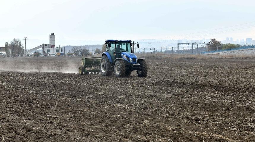 Macar fiğ tohumu desteği i&ccedil;in başvuru rekoru
