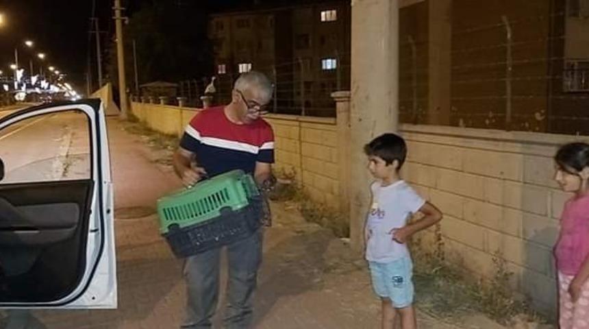 K&uuml;&ccedil;&uuml;k &ccedil;ocuklardan &ouml;rnek davranış