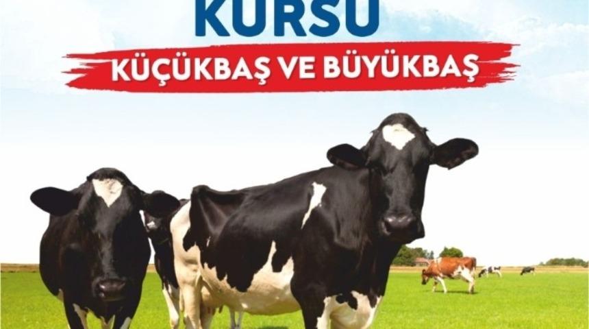 Malatya B&uuml;y&uuml;kşehir&rsquo;den kurban kesim kursu