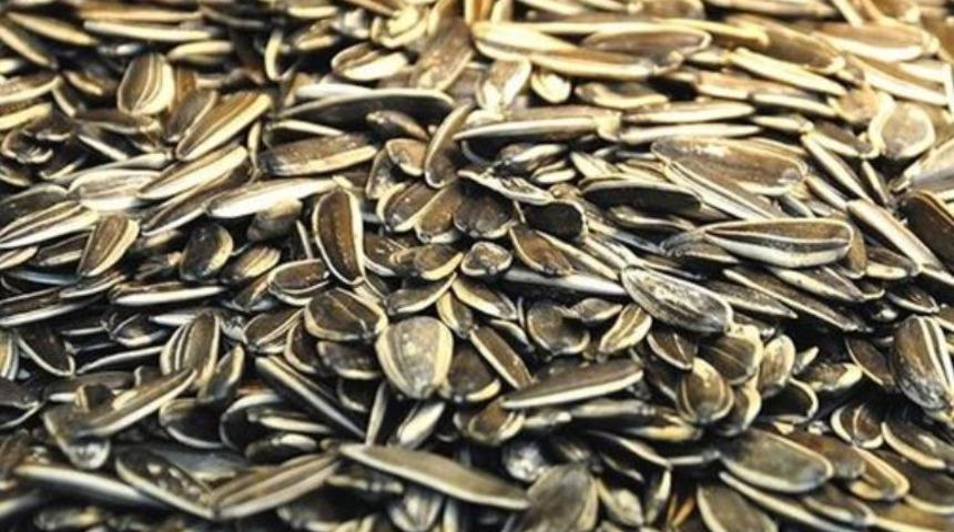 &Uuml;sk&uuml;dar sahilde &ccedil;ekirdek yemenin cezası nedir? Sahilde &ccedil;ekirdek yemek yasak mı?