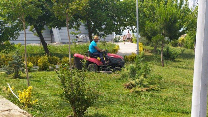 Başiskele’nin yeşil alanlarında doğal ve temiz işler G1