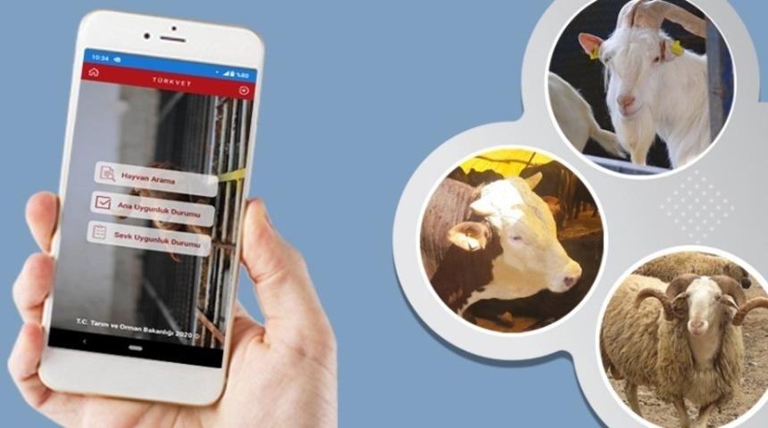 Hayvancılık &uuml;reticilerine online uygulama