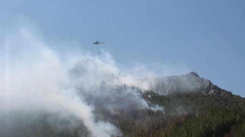 Yıldırım d&uuml;şt&uuml;, 3 hektar ormanlık alan yandı