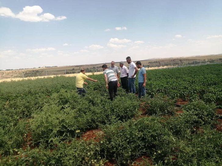 Kahta’daki sebze üreticileri bilgilendiriliyor G1