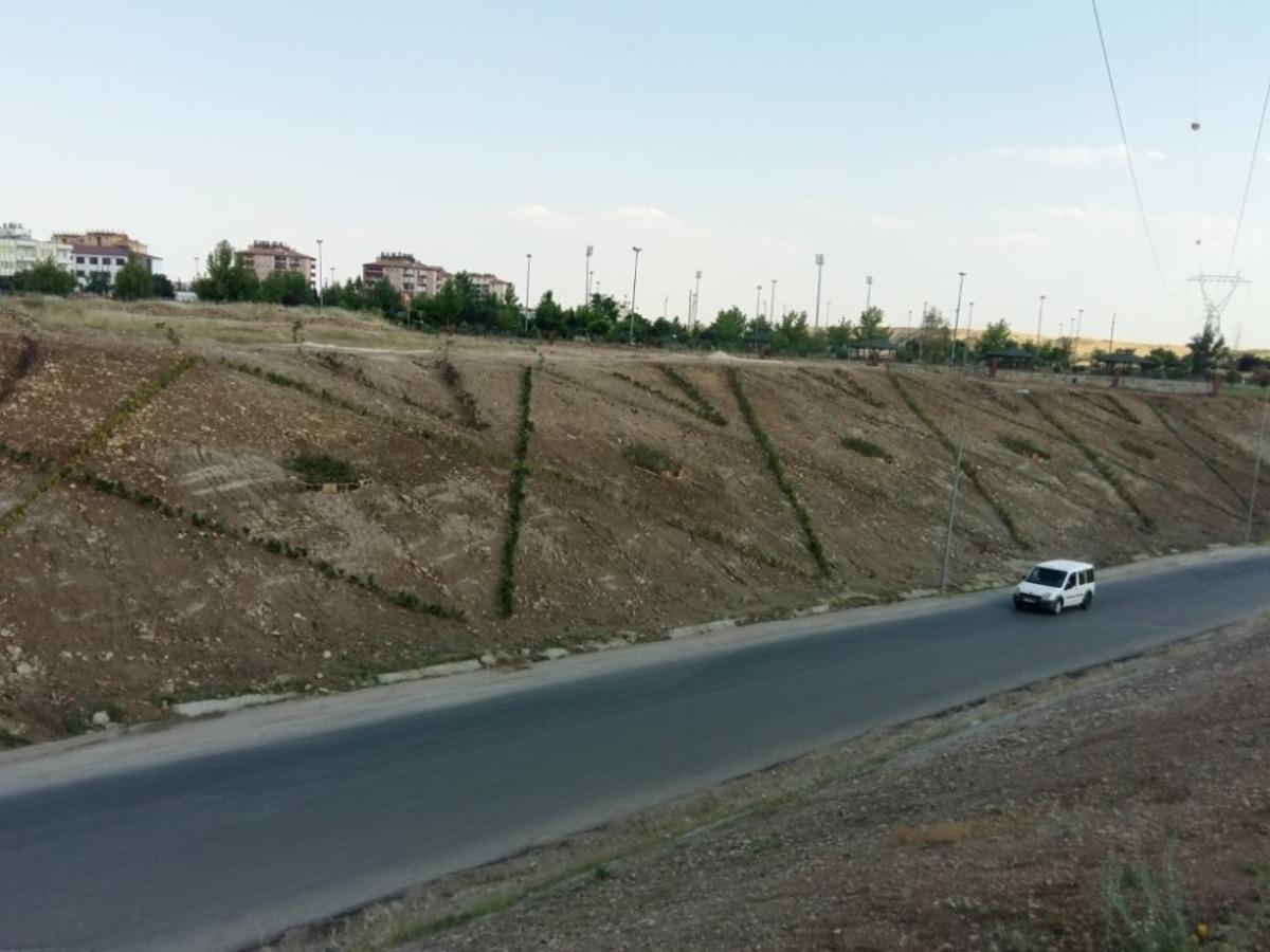 Atat&uuml;rk Bulvarında peyzaj d&uuml;zenlemesi