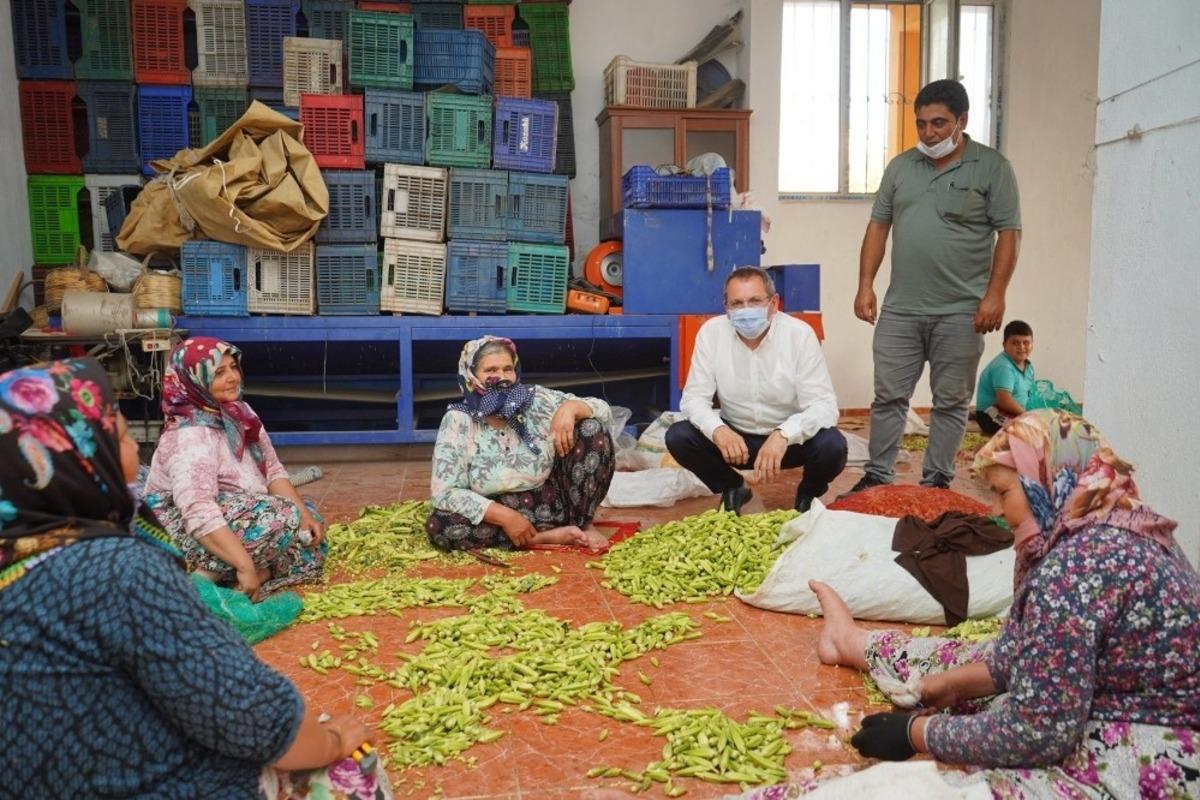 Ayvalık Belediyesi b&uuml;nyesinde kurulan kooperatif b&ouml;lgenin cansuyu olacak