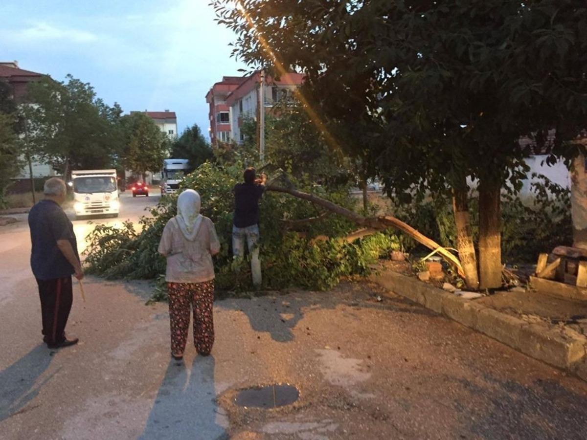R&uuml;zgar ve sağanak yağışla &ccedil;atı u&ccedil;tu, ağa&ccedil;lar devrildi
