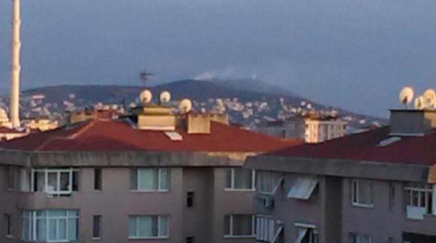 Son dakika: Büyükada’da ormanlık alanda yangın!