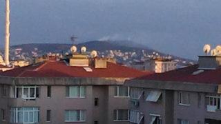 Son dakika: Büyükada’da ormanlık alanda yangın!
