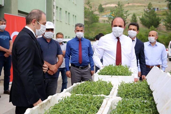 Bayburt’ta kadın çiftçilere 150 bin tarhun fidesi dağıtıldı G2