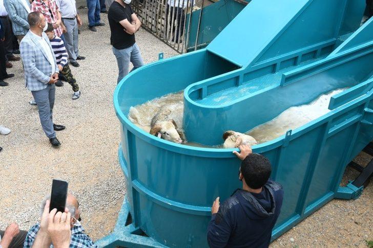 İnegöl Belediyesi, çiftçilere ‘Taşınabilir Hayvan Yıkama Havuzu’ aldı G5