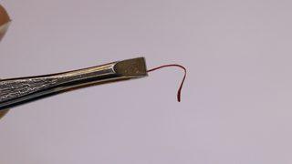 Tek tek cımbızla seçtiği safranı, araba fiyatına satılıyor