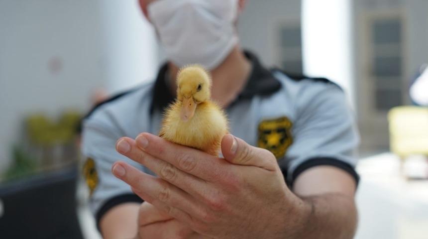 En sevimli emanet! Belediyede şaşırtan g&ouml;r&uuml;nt&uuml;