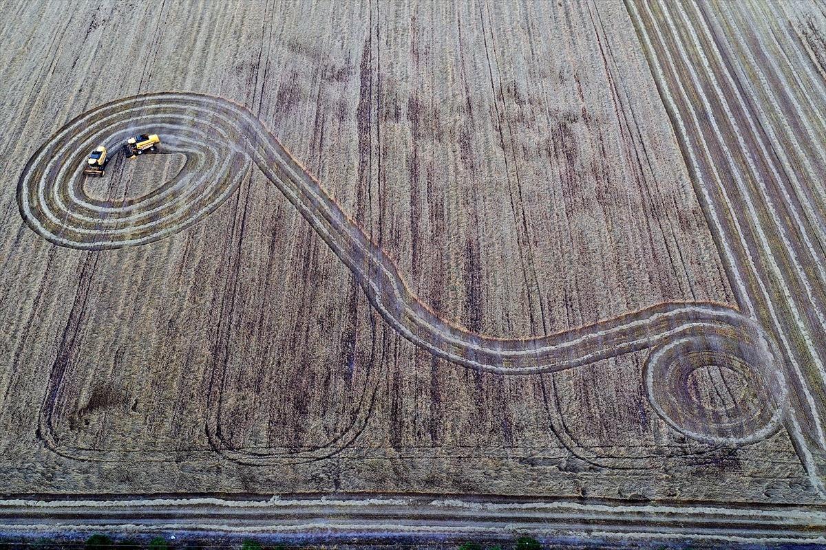 Konya'da hububat hasadı y&uuml;zleri g&uuml;ld&uuml;r&uuml;yor