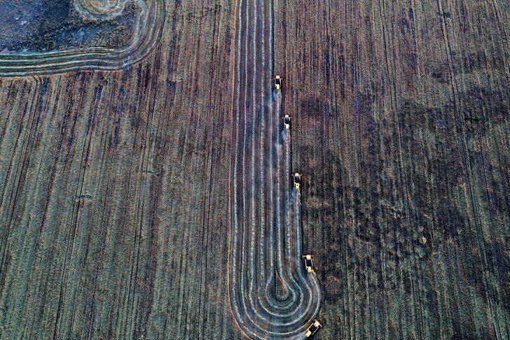 Konya'da hububat hasadı yüzleri güldürüyor G4