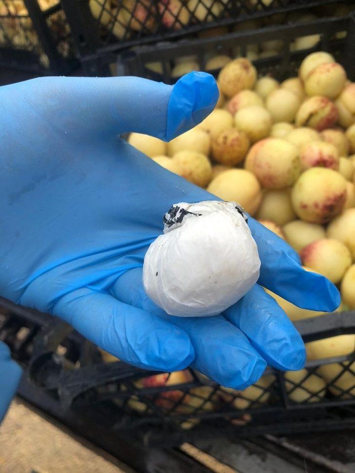 Kars’ta kayısı kasasından uyuşturucu çıktı G3