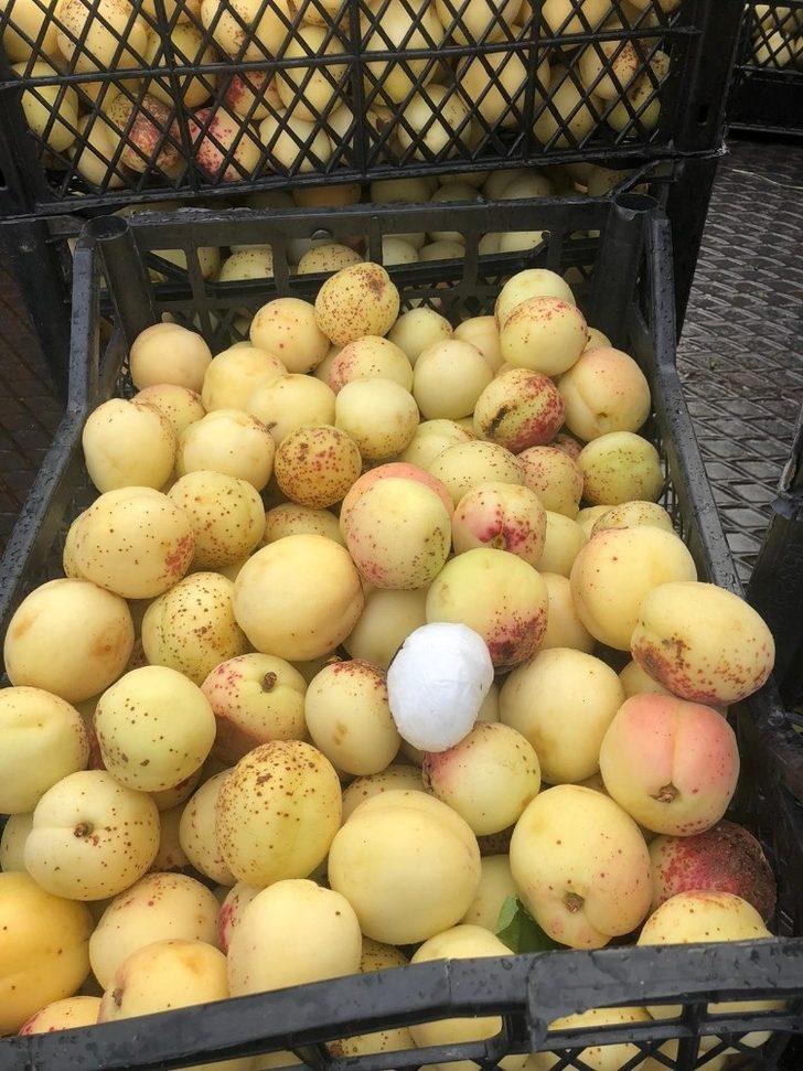 Kars’ta kayısı kasasından uyuşturucu çıktı G4