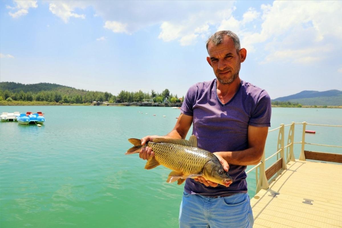 Sazanların boyu 50 santimetreye ulaştı