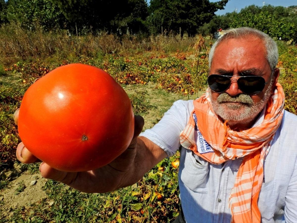 Dededen toruna tohum yaşatma &ccedil;abası