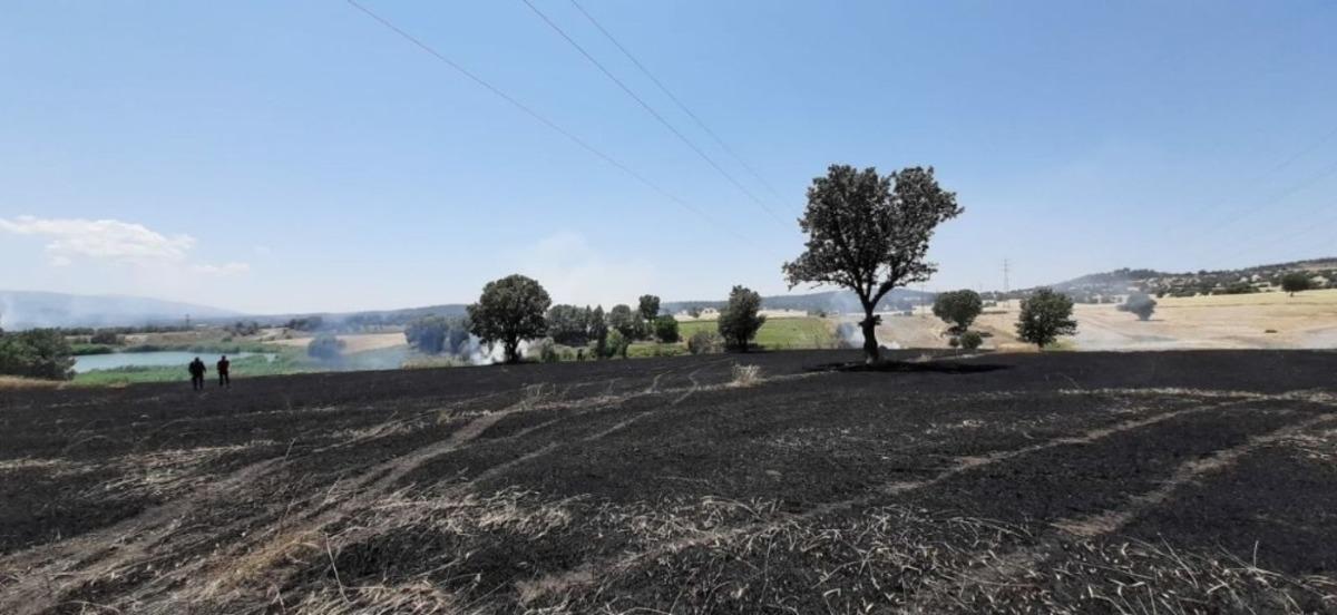 Elektrik telleri koptu, ormanlık alanda yangın &ccedil;ıktı