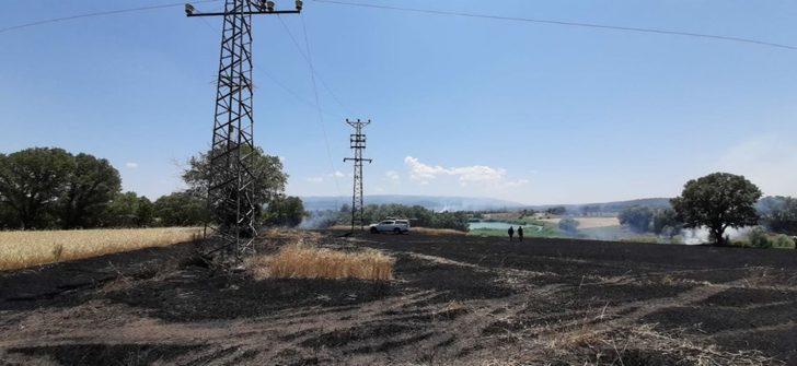 Elektrik telleri koptu, ormanlık alanda yangın çıktı G2