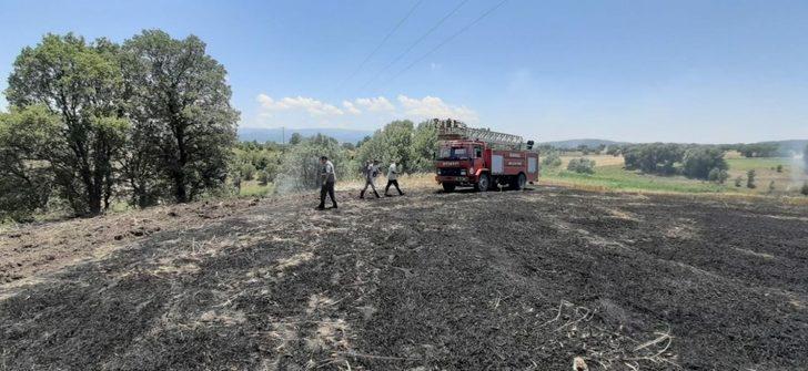 Elektrik telleri koptu, ormanlık alanda yangın çıktı G3