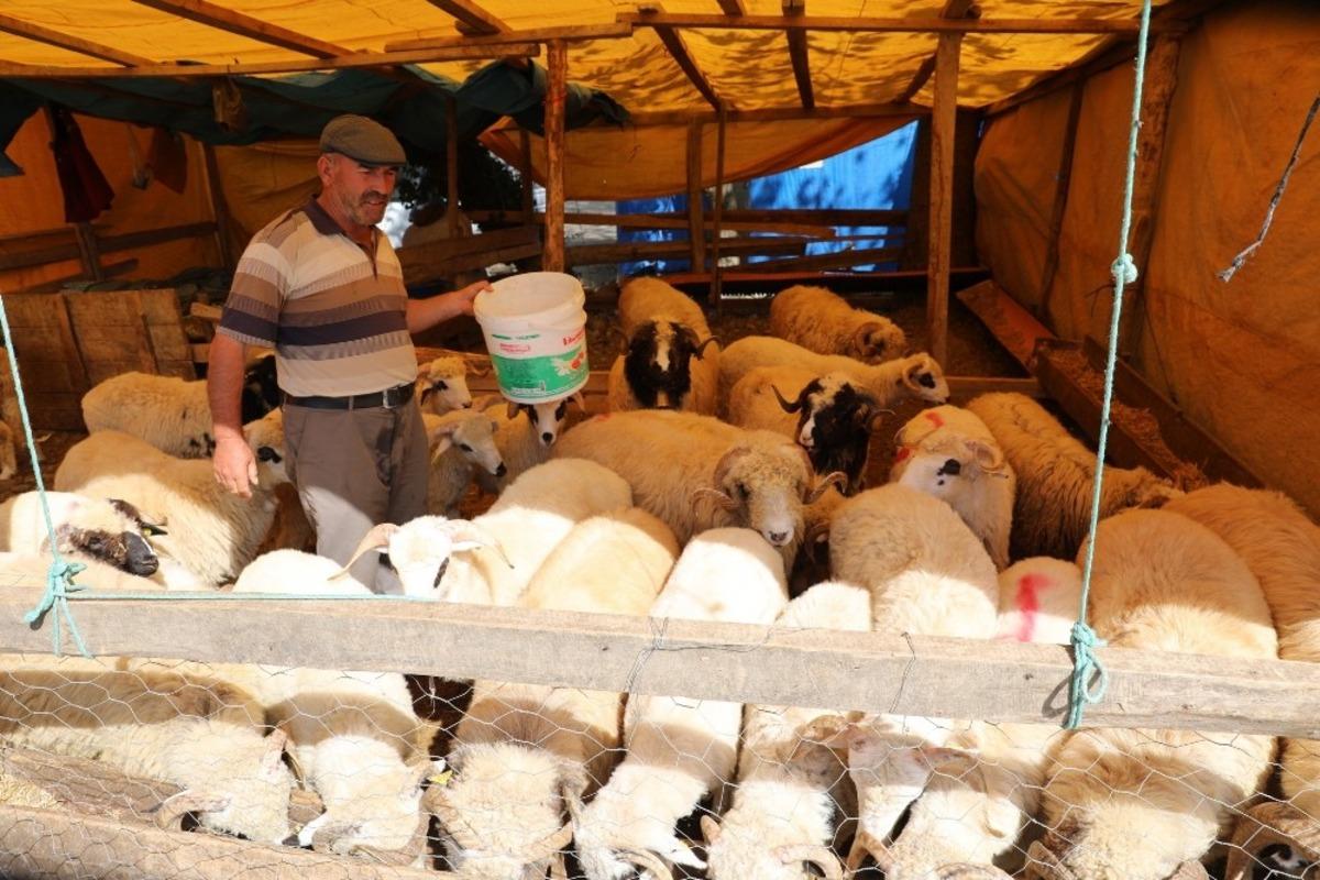 İlkadım&rsquo;da kurban kesim ve satış yerleri belirlendi