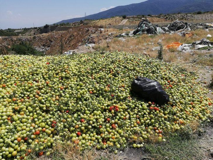 2 tır domatesi boş araziye attılar G2