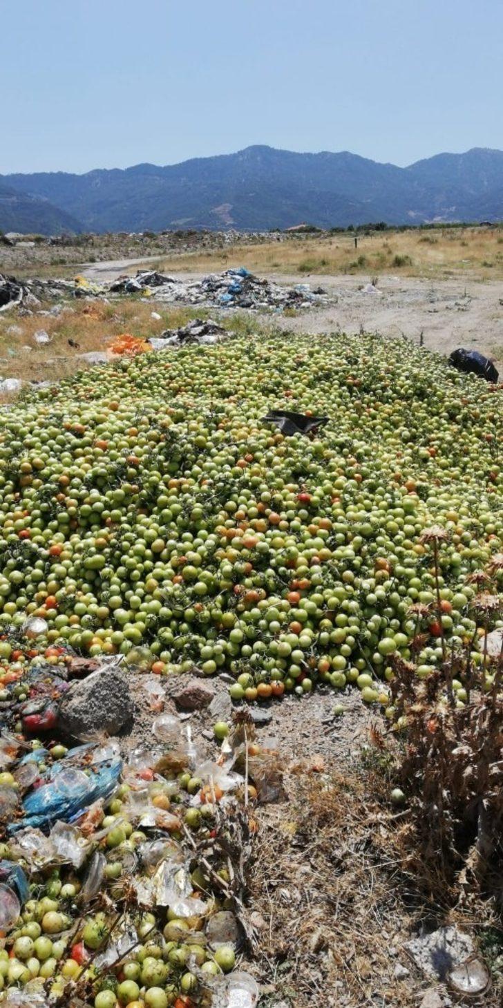 2 tır domatesi boş araziye attılar G4