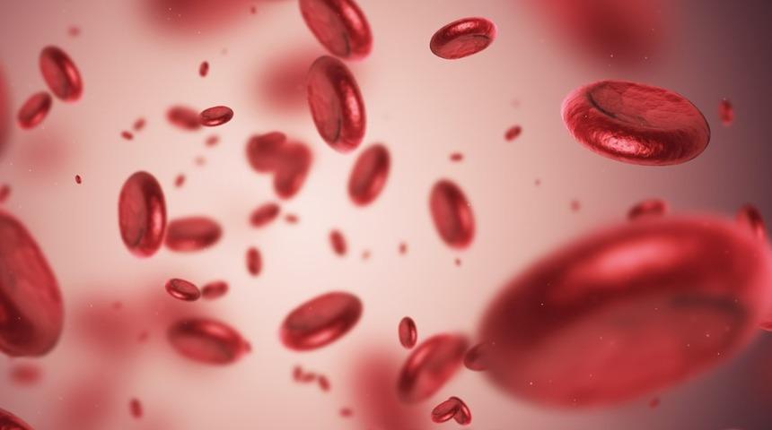 İlik Kanseri : Nedenleri, belirtileri, tedavisi