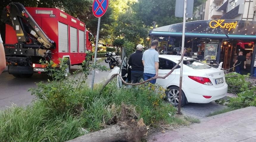 Devrilen ağa&ccedil; otomobilin arka camını patlattı