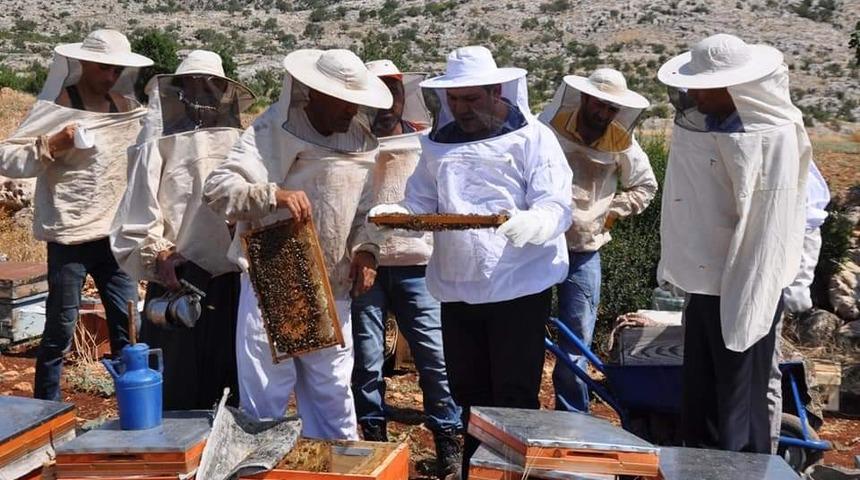 Kaymakam İmamoğlu bal hasadına katıldı