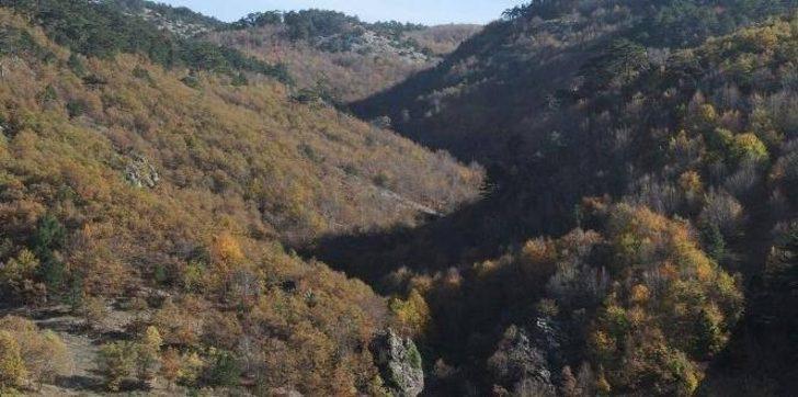 Şifa kaynağı kekik otu hasadı Akdağ yaylalarında başladı G3