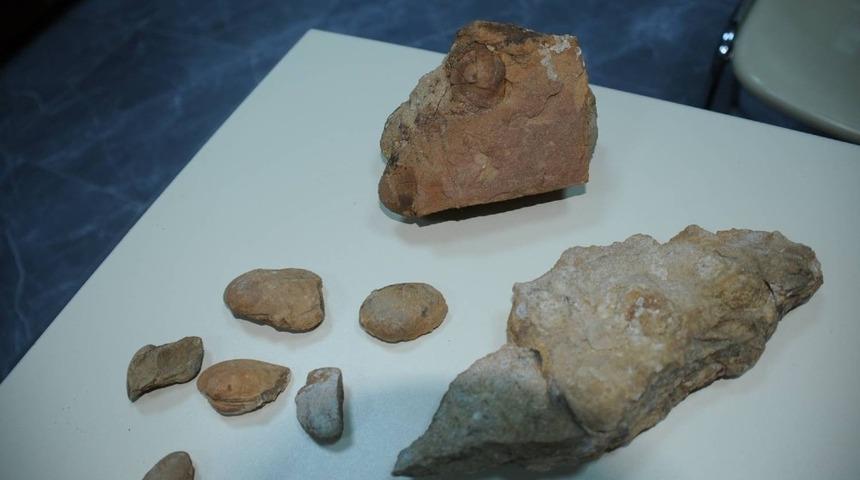 BİYOMER faaliyetlerine fosil kayıtları tutarak başladı