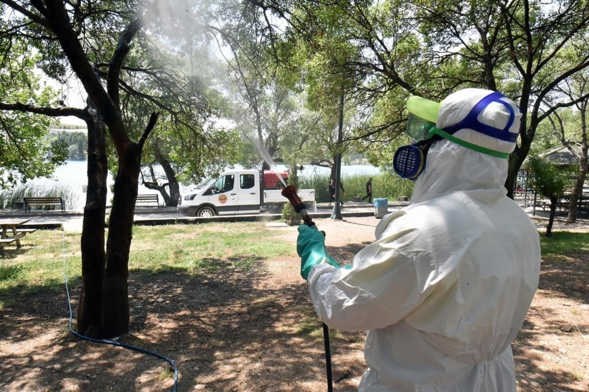 Başkent&rsquo;te zirai m&uuml;cadele hız kesmeden devam ediyor