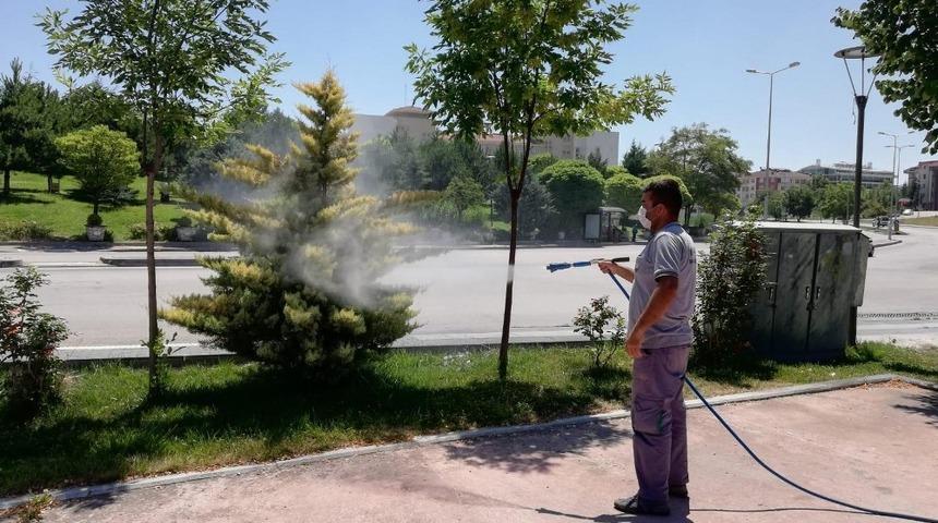 Gölbaşı Belediyesi ilaçlama çalışmalarını sürdürüyor