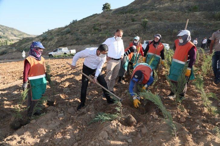 Nevşehir Kalesi ve çevresinde, çevre düzenleme ve peyzaj çalışmaları sürüyor G1