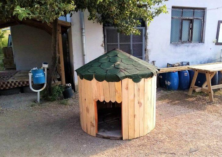 Kablo makaraları sokak köpeklerine yuva oldu G3