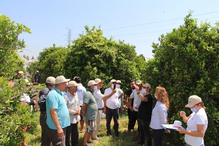 Konyaaltı’nda entegre mücadele projesi G1
