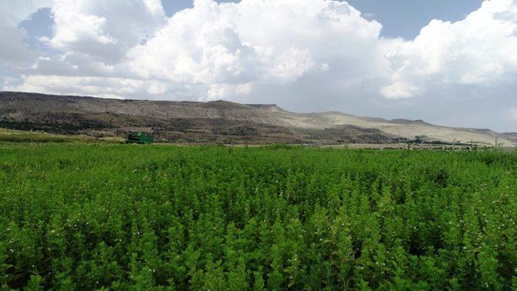 Tarımın merkezi Kocasinan’dan Kayseri’ye yeni bir kazanç kapısı G2