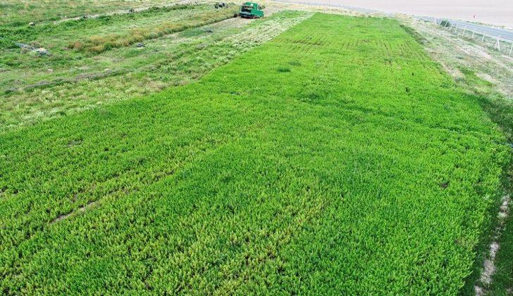 Tarımın merkezi Kocasinan’dan Kayseri’ye yeni bir kazanç kapısı G4