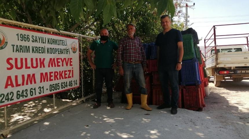Tarım Kredi Korkuteli&rsquo;nde ilk kez vişne alımı yaptı