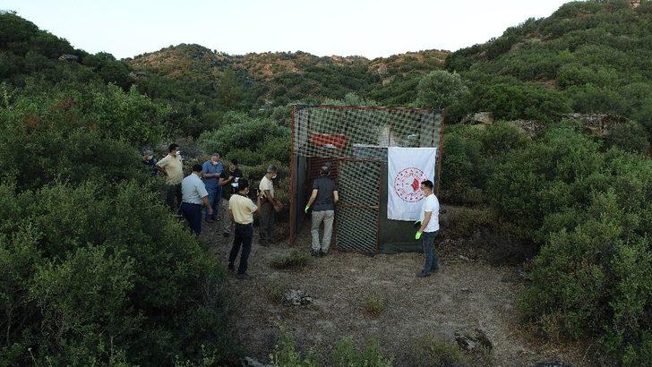 Aydın’da 750 kınalı keklik doğaya bırakıldı G3