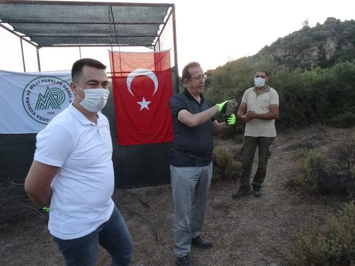 Aydın’da 750 kınalı keklik doğaya bırakıldı G4