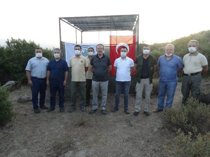 Aydın’da 750 kınalı keklik doğaya bırakıldı G5