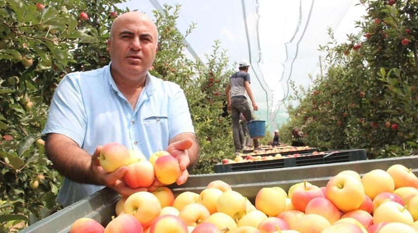Karaman Ziraat Odası Başkanı Bayram: ”Elmanıza verilen yüksek fiyata asla kanmayın”